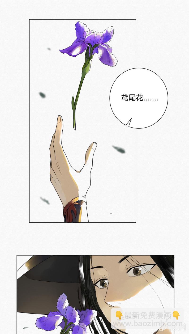 《谢东风》鸢尾花 第33页
