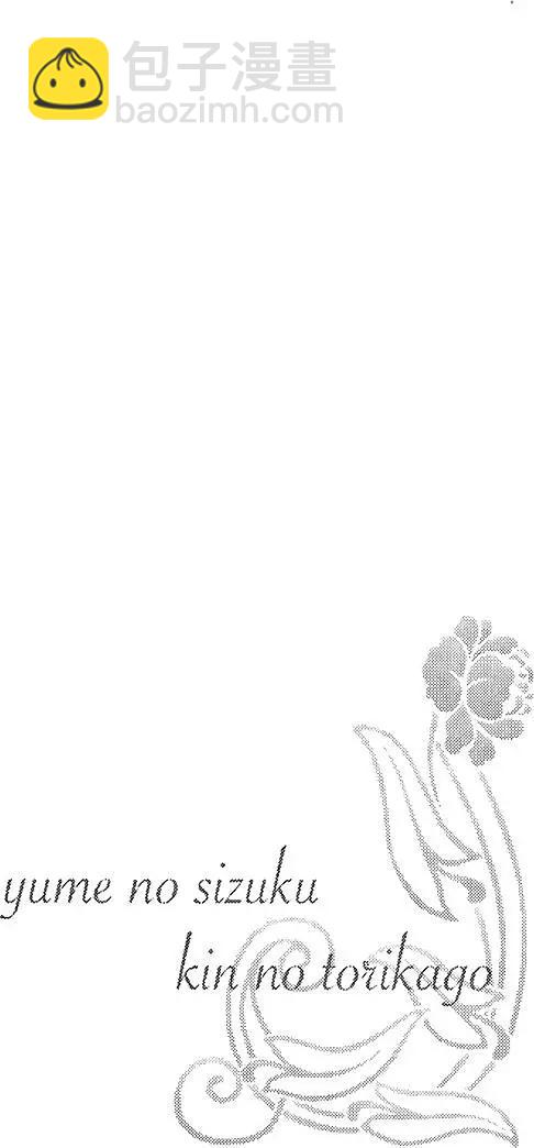 《梦之雫黄金的鸟笼》第03卷 第34页