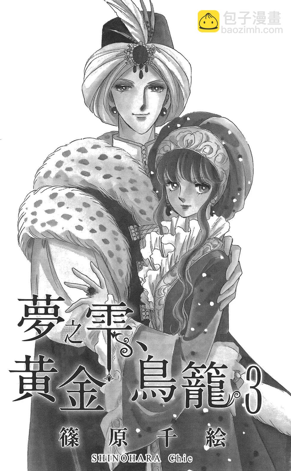 《梦之雫黄金的鸟笼》第03卷 第3页