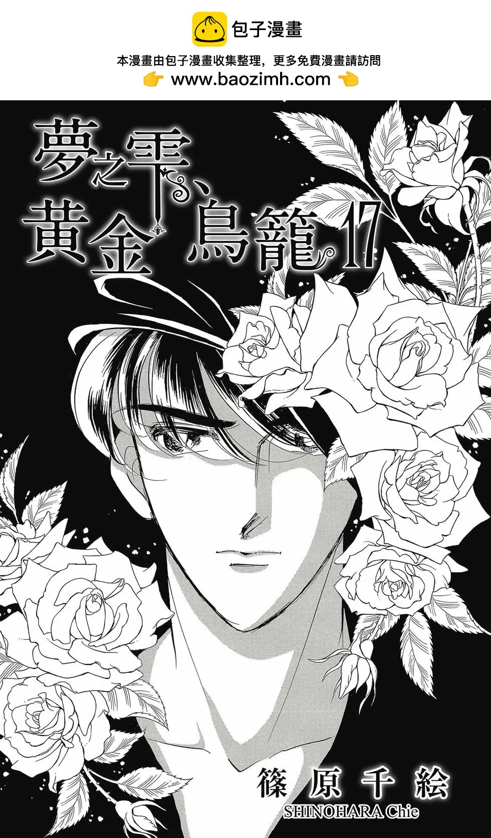 《梦之雫黄金的鸟笼》第17卷 第2页