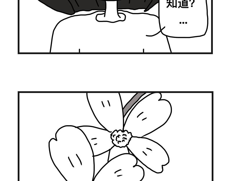 《在校女大学生》打赌 第7页