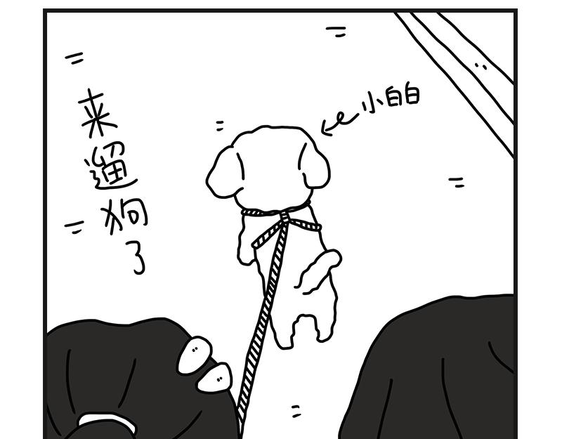 《在校女大学生》养狗人 第19页