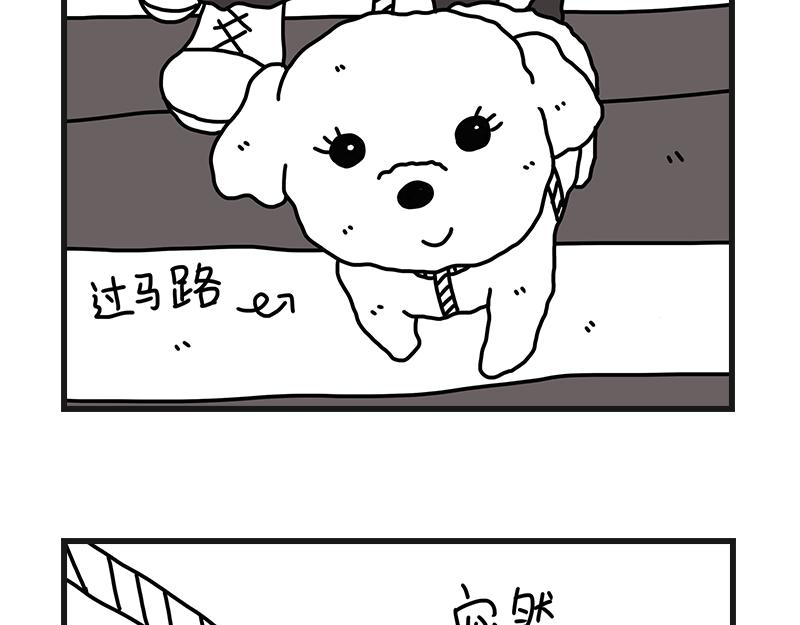 《在校女大学生》养狗人 第22页