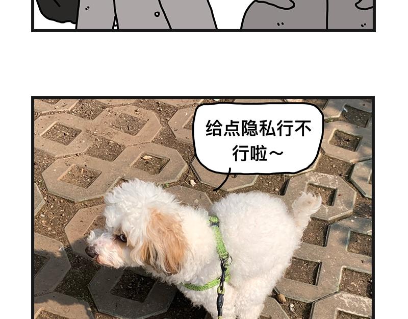 《在校女大学生》养狗人 第46页