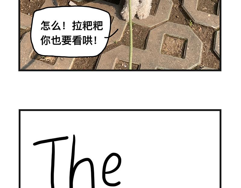 《在校女大学生》养狗人 第47页
