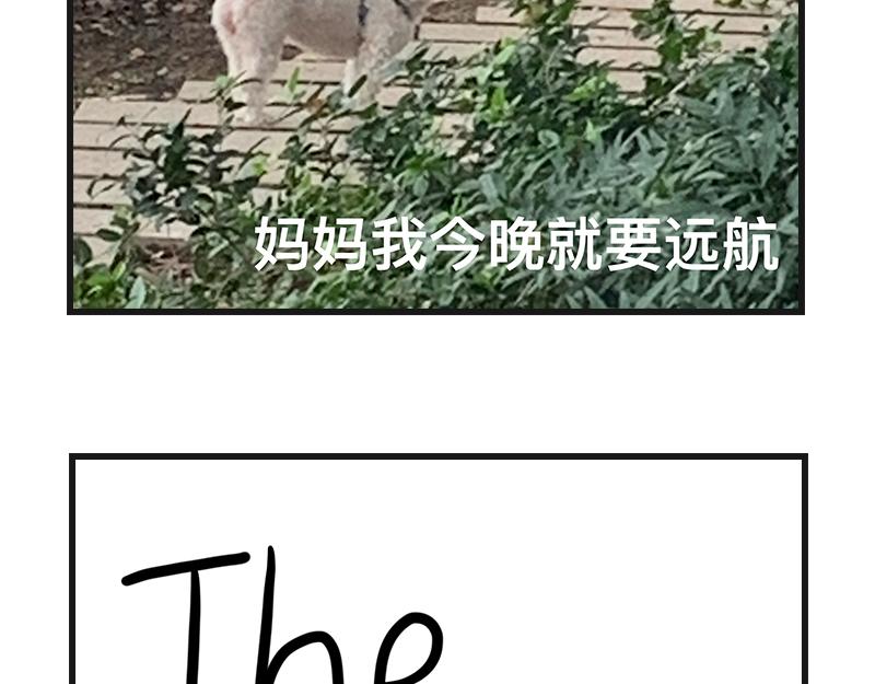 《在校女大学生》安全感 第29页