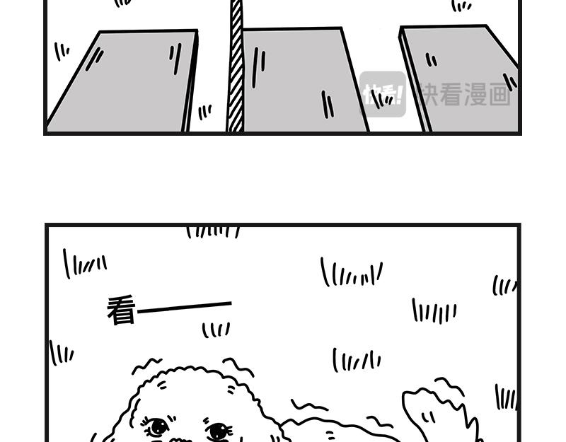 《在校女大学生》安全感 第7页