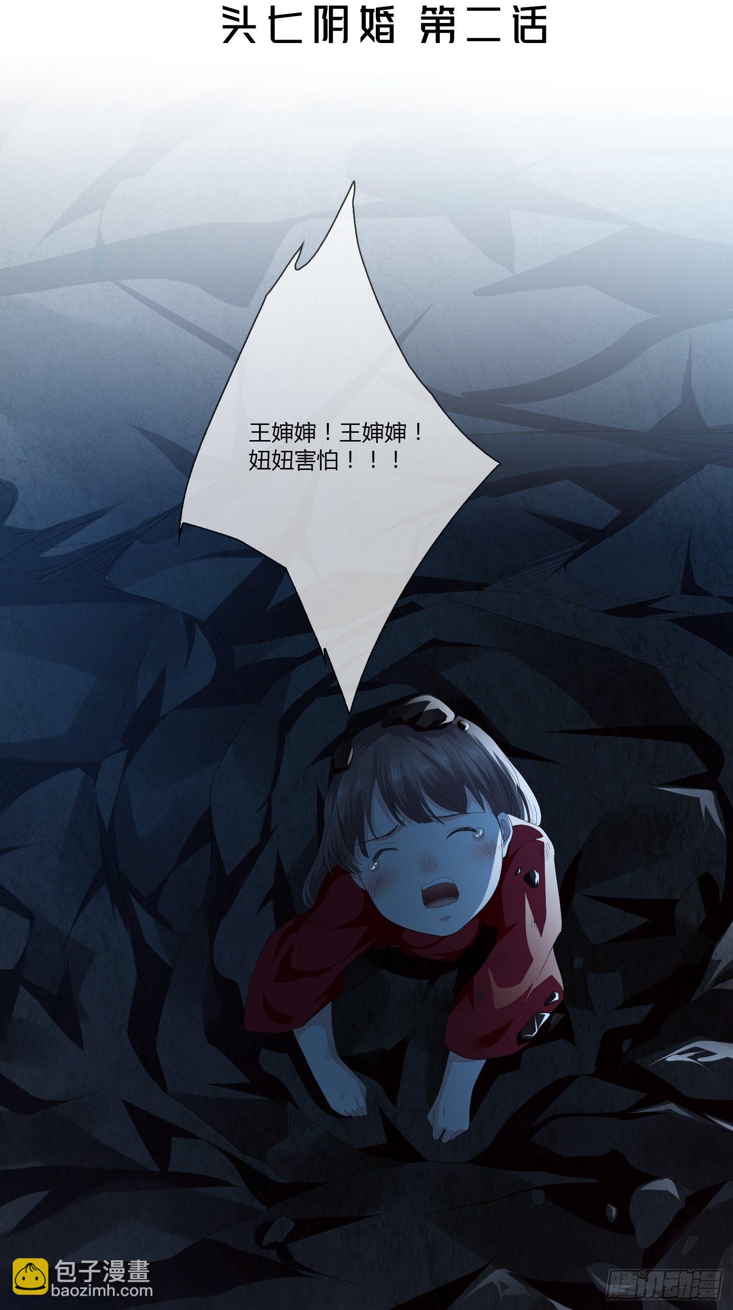 《黑色镜像》头七阴婚02 第2页