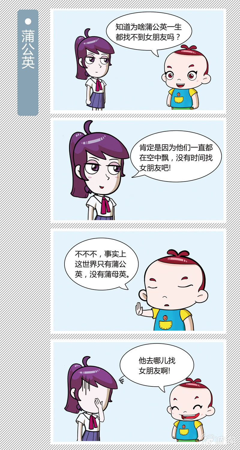 《多宝一家人家庭爆笑篇》蒲公英 第1页