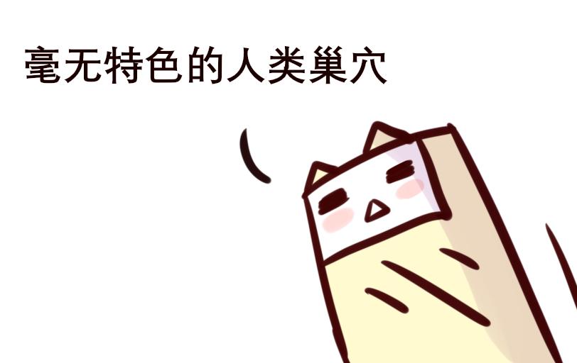 《Maoza 蠢萌生活》Maoza新篇章— 第9页