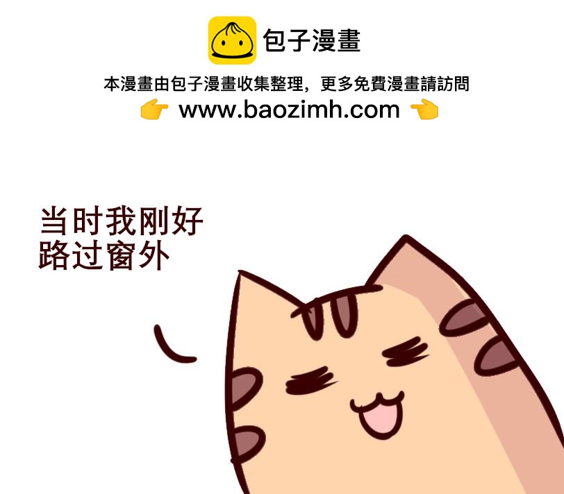 《Maoza 蠢萌生活》Maoza新篇章- 第14页