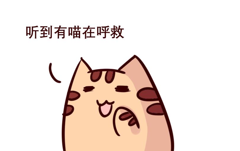 《Maoza 蠢萌生活》Maoza新篇章- 第15页