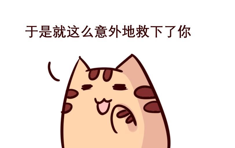 《Maoza 蠢萌生活》Maoza新篇章- 第17页