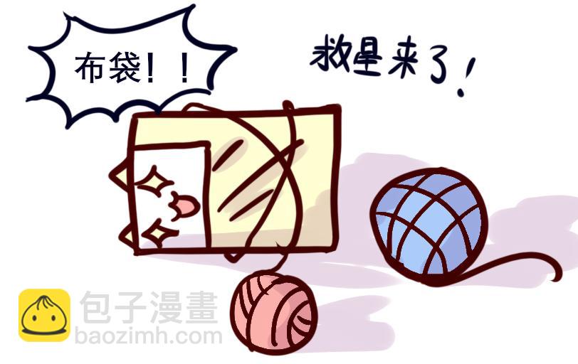 《Maoza 蠢萌生活》Maoza新篇章- 第3页