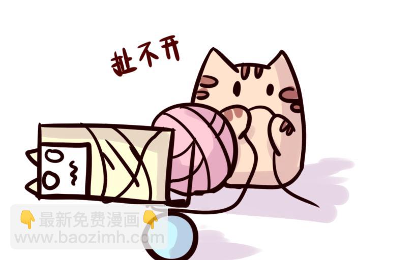 《Maoza 蠢萌生活》Maoza新篇章- 第4页