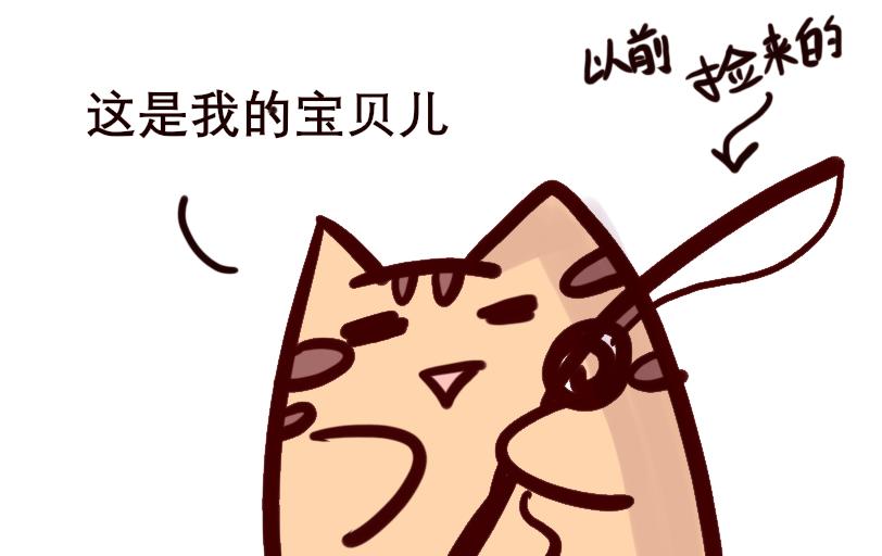 《Maoza 蠢萌生活》Maoza新篇章— 第12页