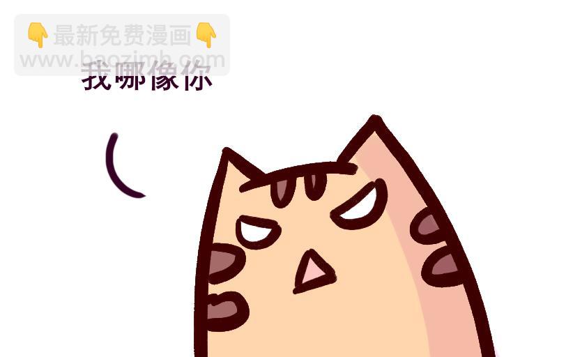 《Maoza 蠢萌生活》Maoza新篇章— 第17页