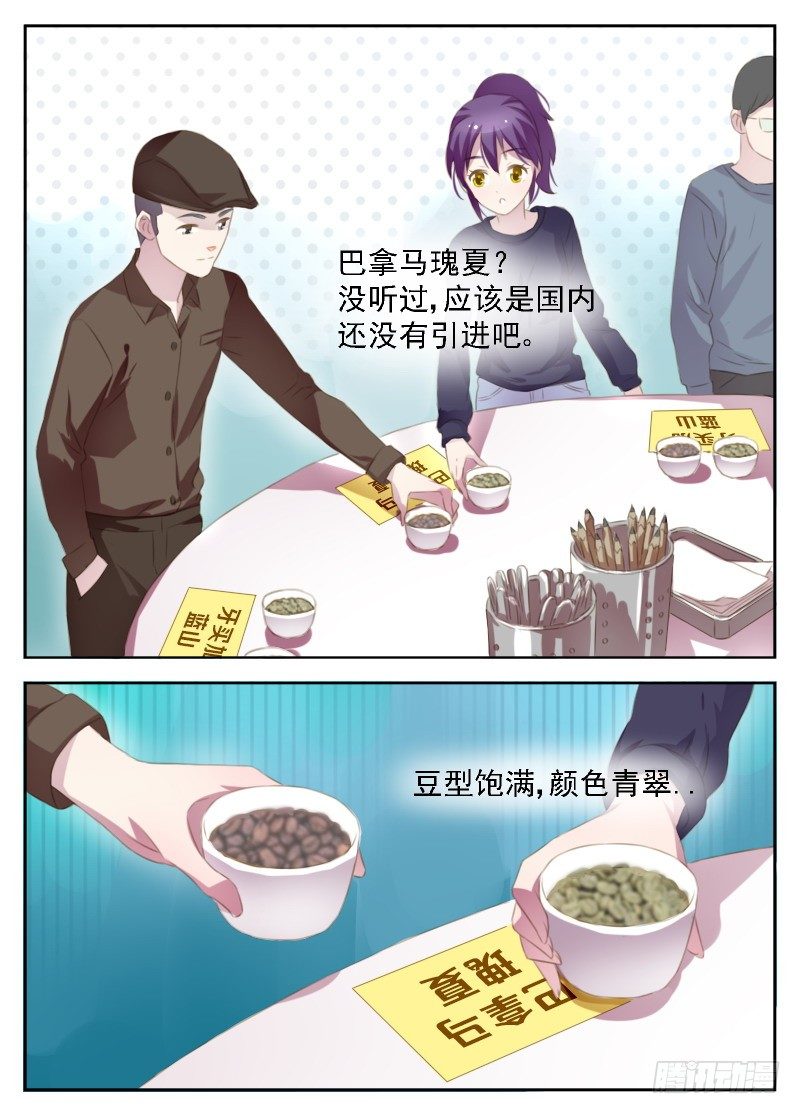 《赤子咖啡》第4话 冒名顶替咖啡师 第5页