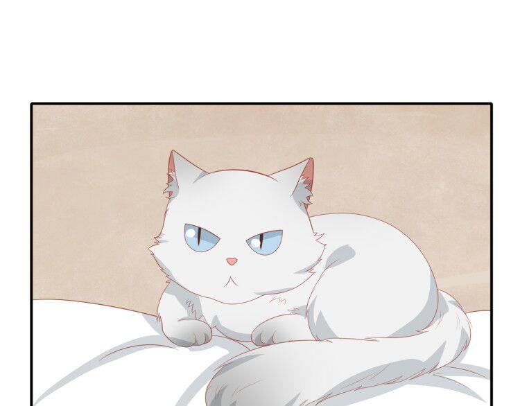 《猫咪恋人》第3话 同床共枕我的喵？ 第38页