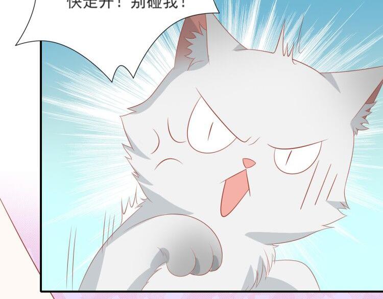 《猫咪恋人》第3话 同床共枕我的喵？ 第41页