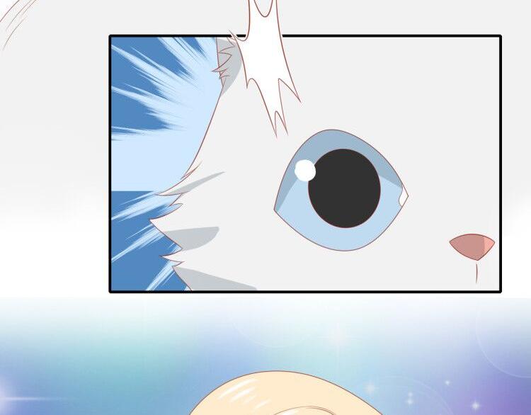 《猫咪恋人》第3话 同床共枕我的喵？ 第43页