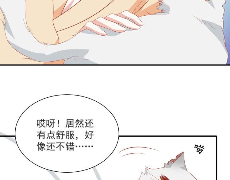 《猫咪恋人》第3话 同床共枕我的喵？ 第45页