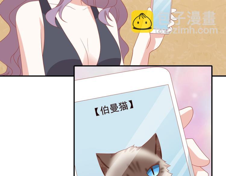 《猫咪恋人》第12话 来自前男友的暴击！ 第27页