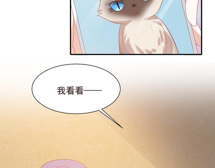 《猫咪恋人》第12话 来自前男友的暴击！ 第28页
