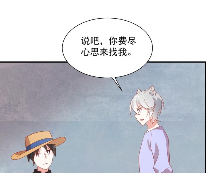 《猫咪恋人》第14话 坏猫人企图勾结富贵 第41页