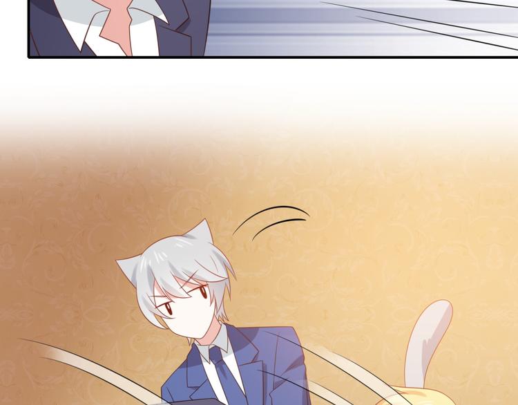 《猫咪恋人》第13话 富贵救烟烟受伤 第40页
