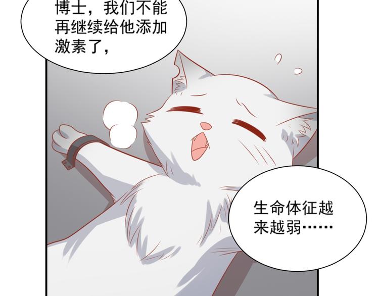 《猫咪恋人》第20话 猫人危机来袭！ 第35页