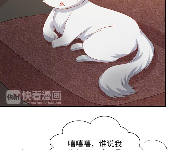 《猫咪恋人》第18话 路遇坏猫人 第14页