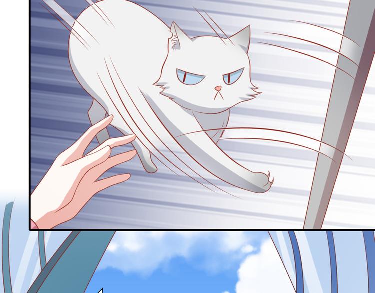 《猫咪恋人》第18话 路遇坏猫人 第33页