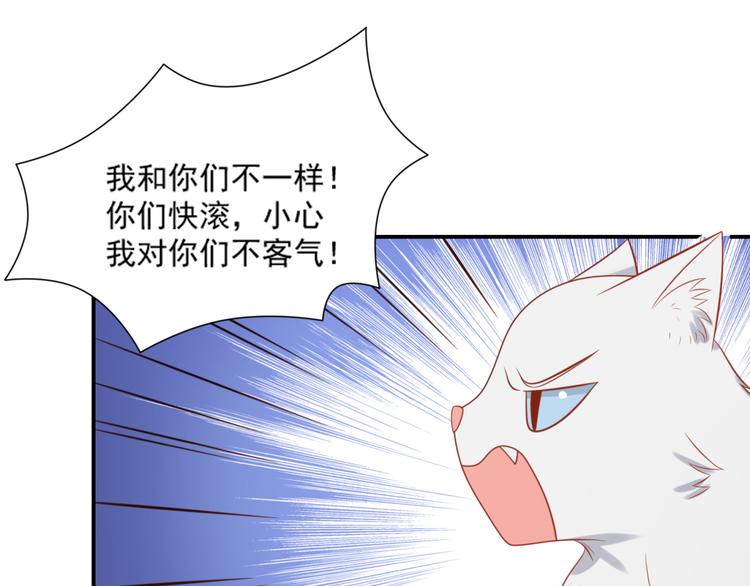 《猫咪恋人》第18话 路遇坏猫人 第38页