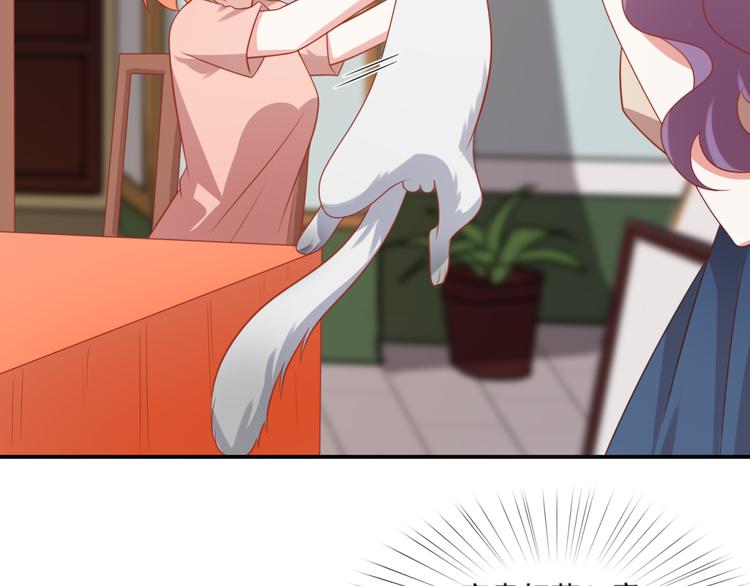 《猫咪恋人》第18话 路遇坏猫人 第5页