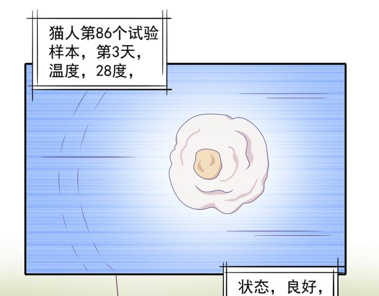 《猫咪恋人》第17话 富贵被借走？！ 第4页