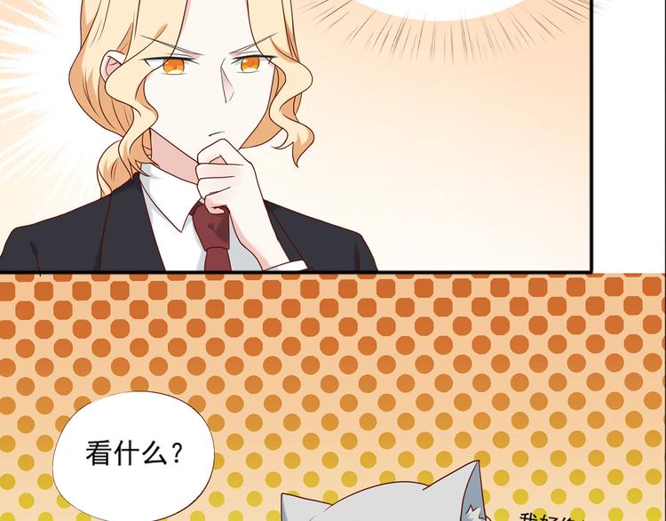 《猫咪恋人》第26话 绑架视频流出 第16页