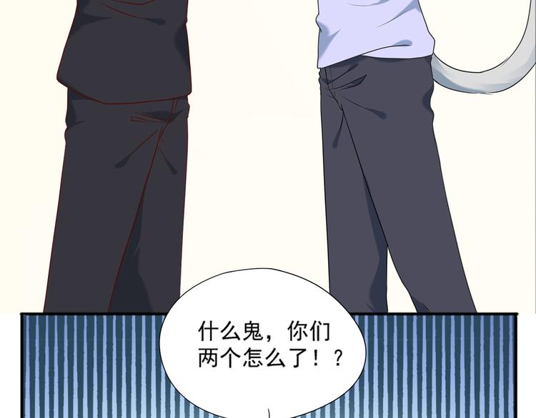 《猫咪恋人》第26话 绑架视频流出 第19页