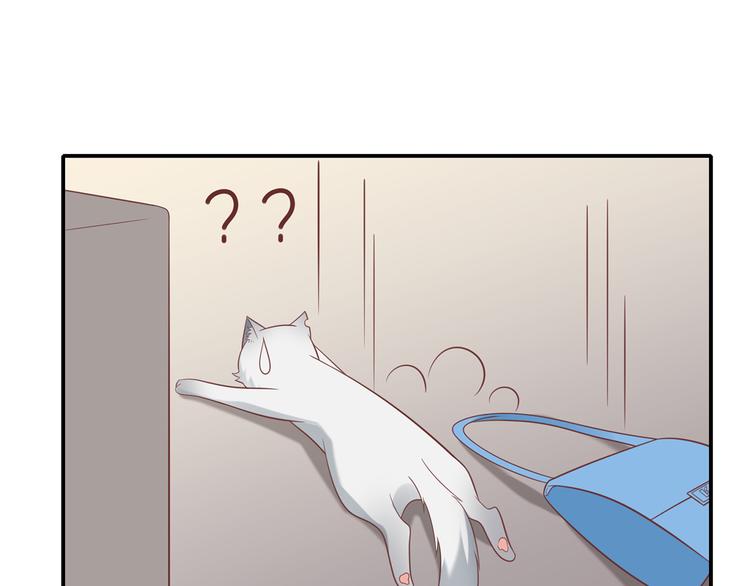 《猫咪恋人》第29话 彤蔓出院 第33页