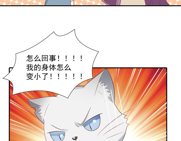 《猫咪恋人》第29话 彤蔓出院 第35页