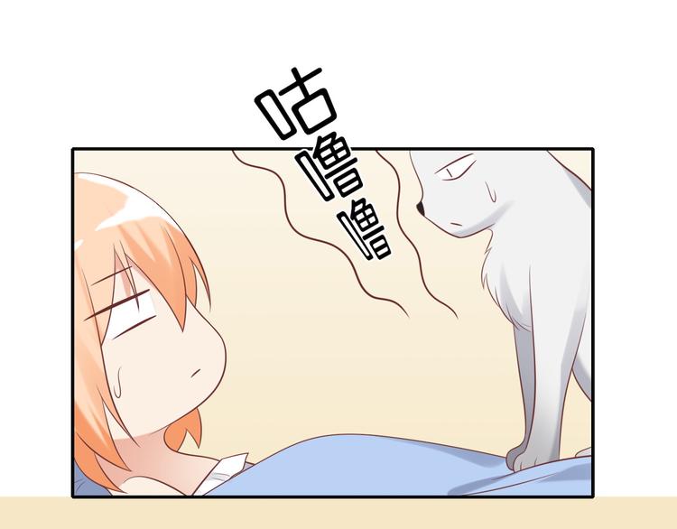 《猫咪恋人》第30话 无法掌控形态的富贵 第31页