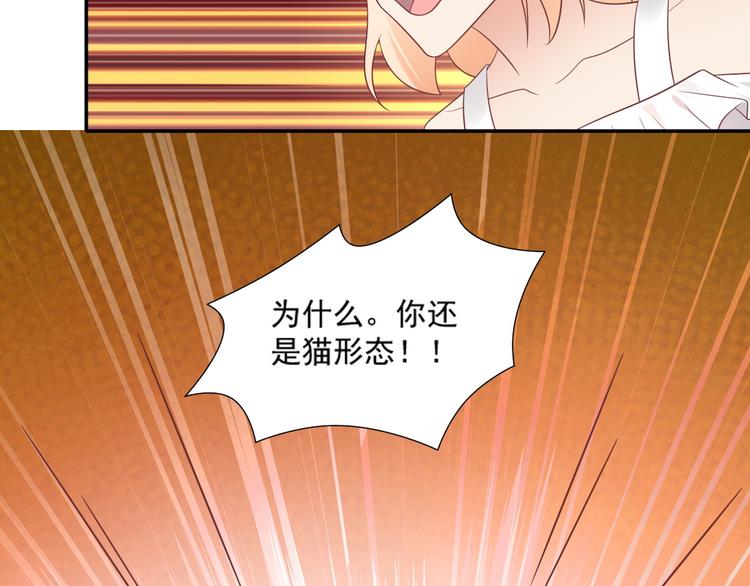 《猫咪恋人》第30话 无法掌控形态的富贵 第43页