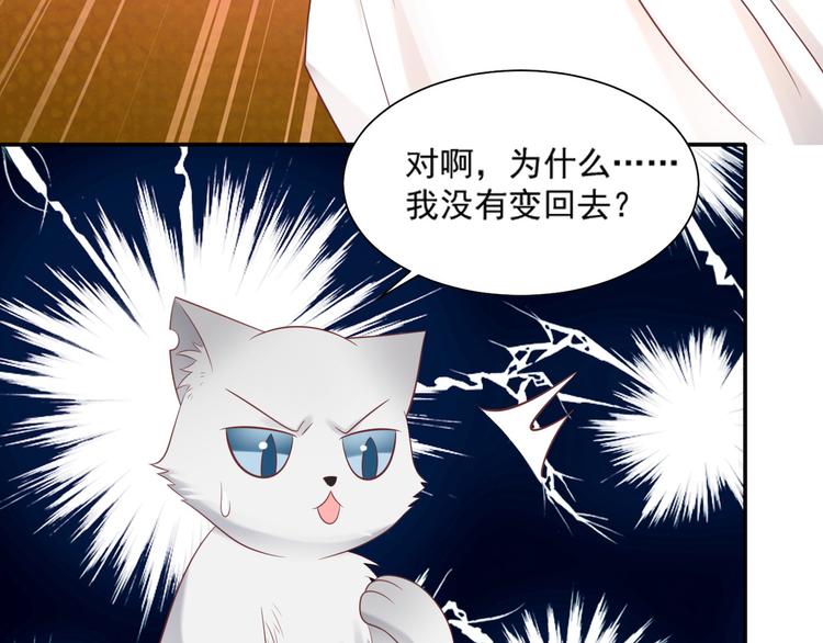 《猫咪恋人》第30话 无法掌控形态的富贵 第46页
