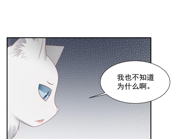 《猫咪恋人》第30话 无法掌控形态的富贵 第50页