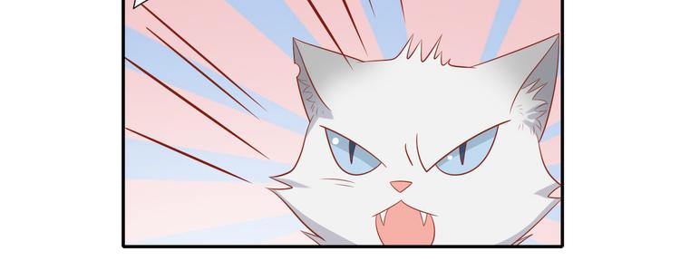 《猫咪恋人》第31话 江湖再见 第28页