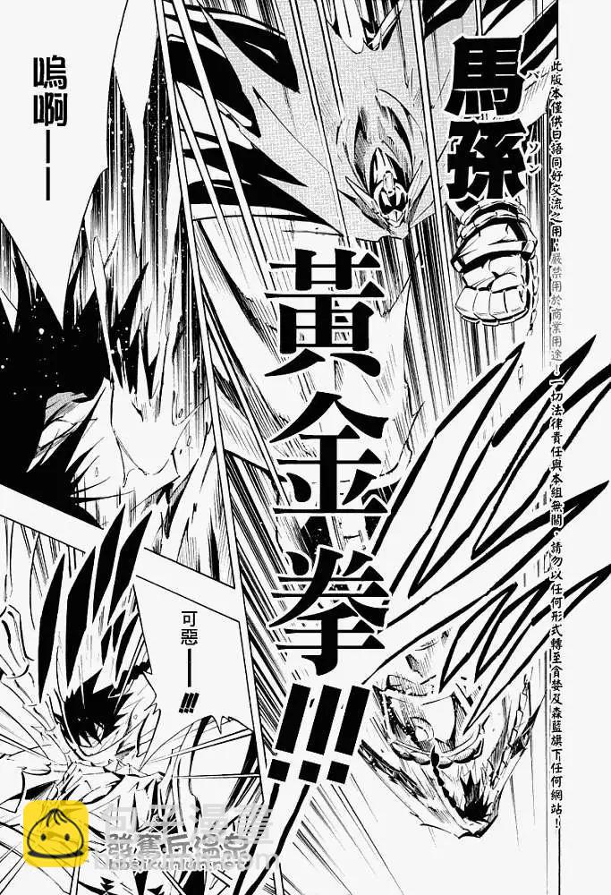 《通灵童子》第290回猫亲近寂寞的人 第13页
