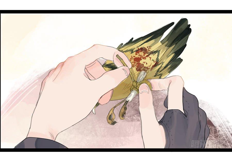 《镜花缘之百花王朝》第六话 衣锦还乡 第25页