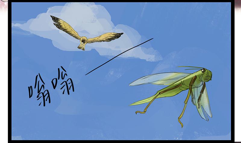 《镜花缘之百花王朝》第六话 衣锦还乡 第5页