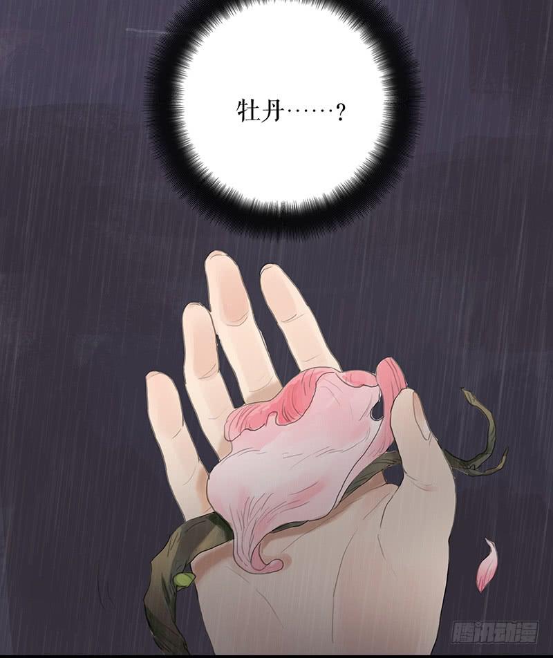 《镜花缘之百花王朝》第十九话 牡丹花 第34页
