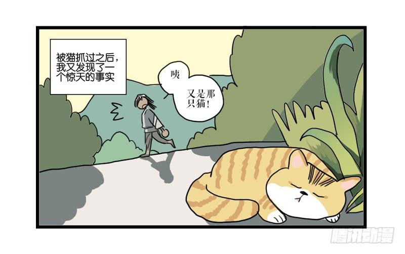 《镜花缘之百花王朝》第二十五话 新的生活 第32页